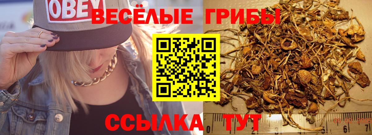 Аксай  Псилоцибиновые грибы MAGIC MUSHROOMS  Вход с VPN  Псилоцибиновые грибы мухоморы 